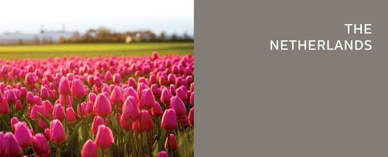 TheNetherlands_800
